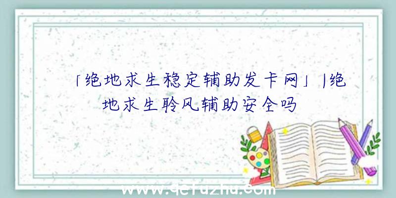 「绝地求生稳定辅助发卡网」|绝地求生聆风辅助安全吗